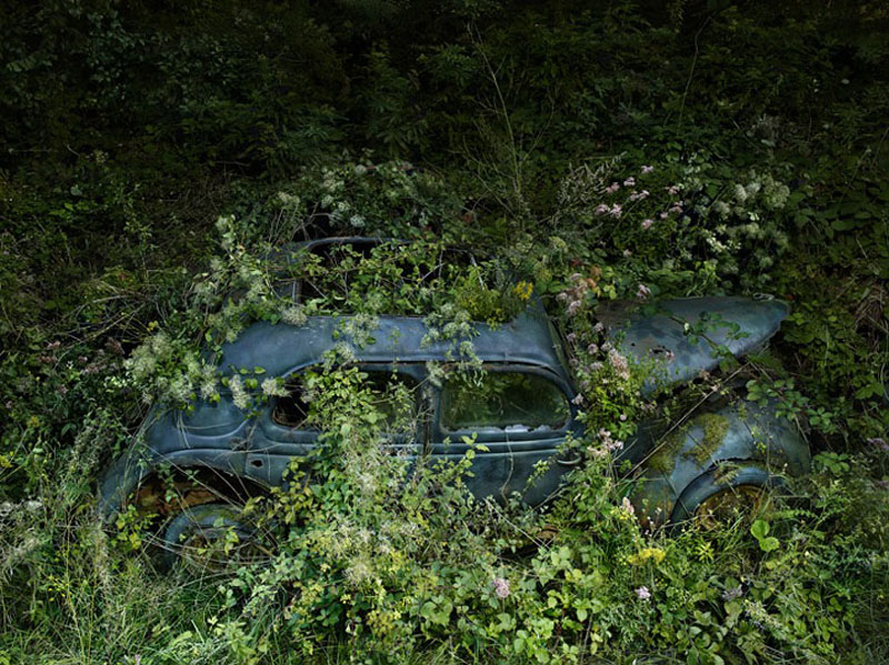 Фотография: Брошенные автомобили в объятиях природы №8 - BigPicture.ru