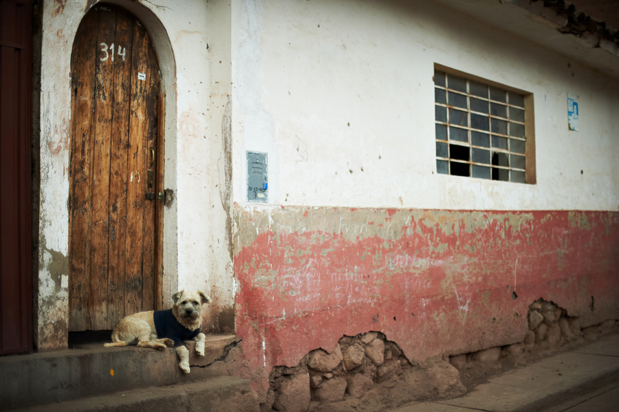 Фотография: Путешествуя по Перу: из Куско к Мачу-Пикчу №100 - BigPicture.ru