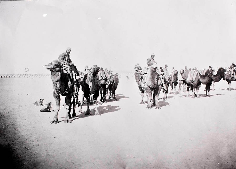 Фотография: Иран 1901 года в объективе Антона Севрюгина №30 - BigPicture.ru