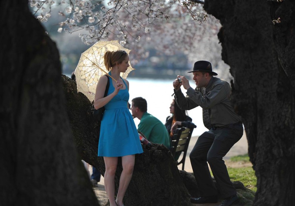 Фотография: Фестиваль цветения сакуры в Вашингтоне 2012 №17 - BigPicture.ru