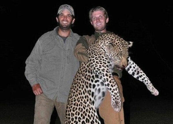 Сыновья Дональда Трампа любят убивать животных