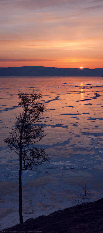 Фотография: Тонкие струны Байкала или 400 км на коньках (Часть 2) №32 - BigPicture.ru