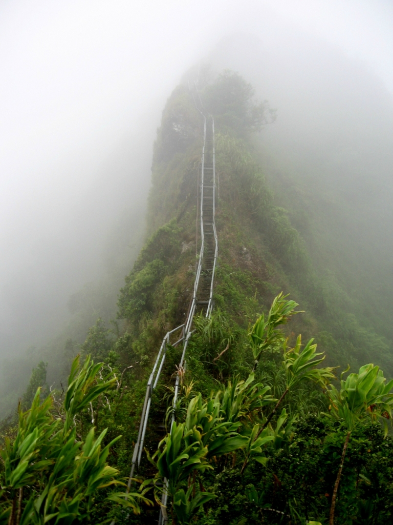 Фотография: Лестница Хайку на Гаваях №6 - BigPicture.ru