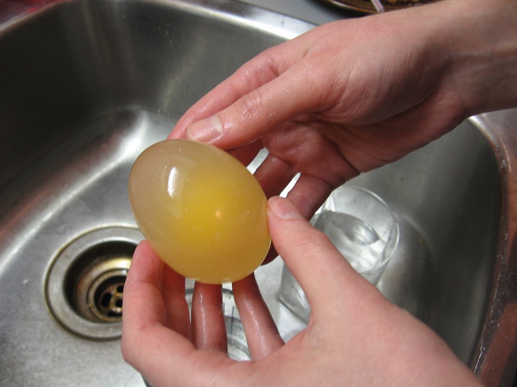 Фотография: Эксперимент с яйцом и уксусом №4 - BigPicture.ru