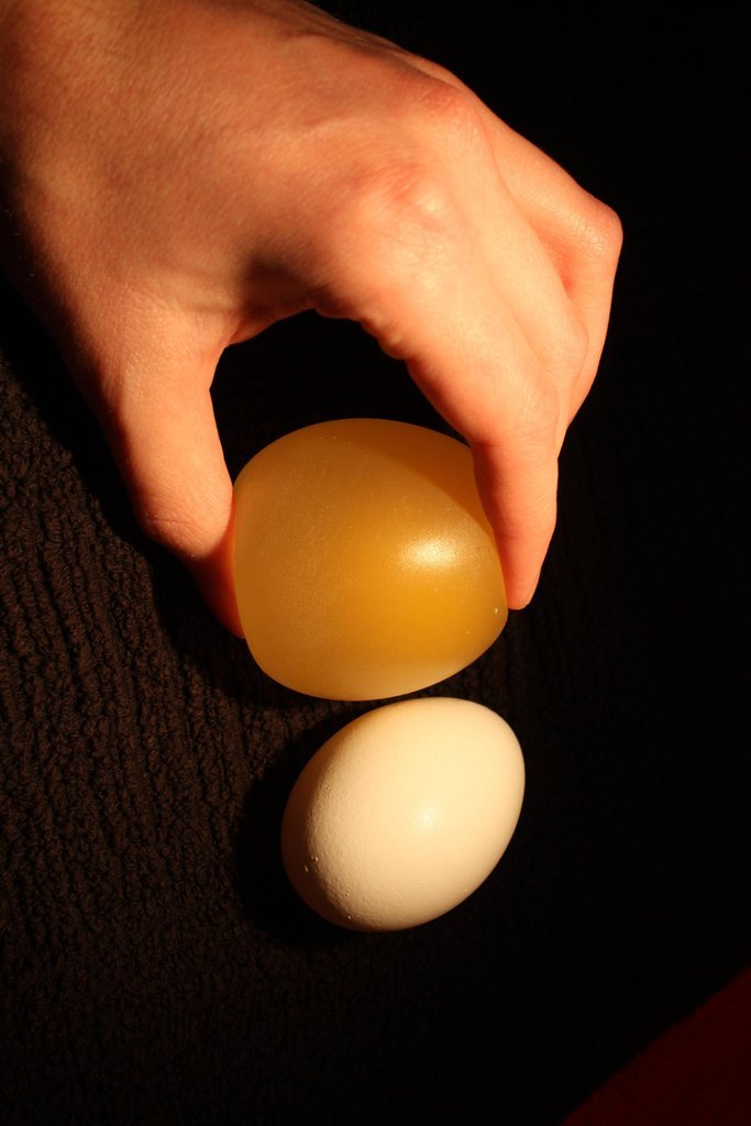 Фотография: Эксперимент с яйцом и уксусом №5 - BigPicture.ru
