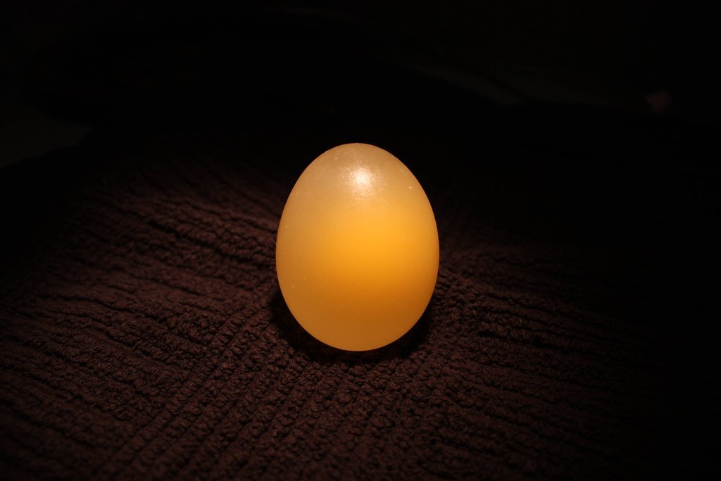 Фотография: Эксперимент с яйцом и уксусом №8 - BigPicture.ru