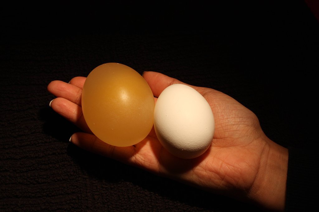Фотография: Эксперимент с яйцом и уксусом №9 - BigPicture.ru