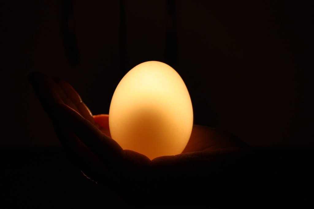 Фотография: Эксперимент с яйцом и уксусом №12 - BigPicture.ru