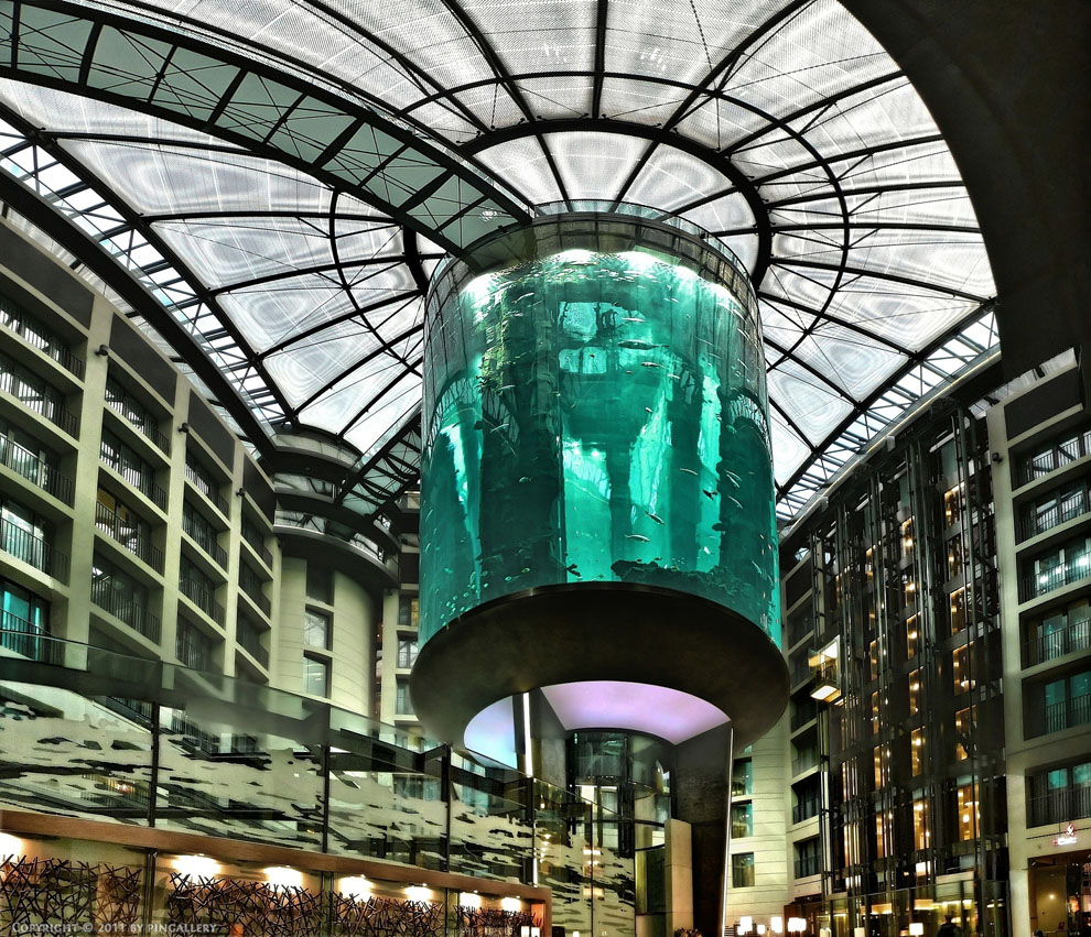 Фотография: Dom Aquaree — огромный аквариум в отеле Radisson Blu №14 - BigPicture.ru