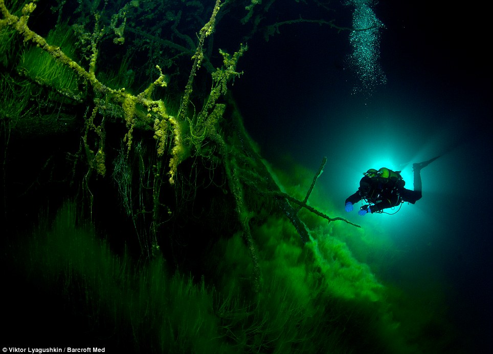 Фотография: Голубое озеро - неизведанный подводный мир №3 - BigPicture.ru
