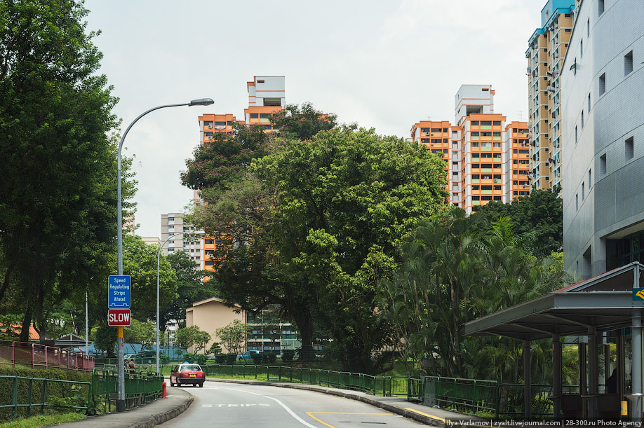 Фотография: Спальные районы Сингапура №5 - BigPicture.ru