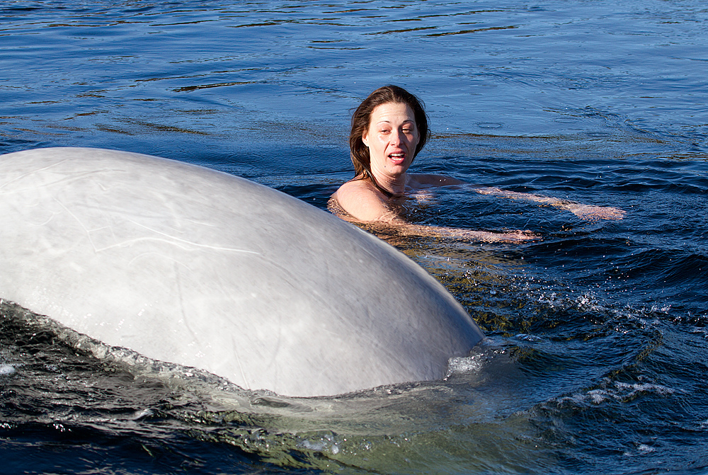 Фотография: Голая женщина в ледяной воде с китами №7 - BigPicture.ru