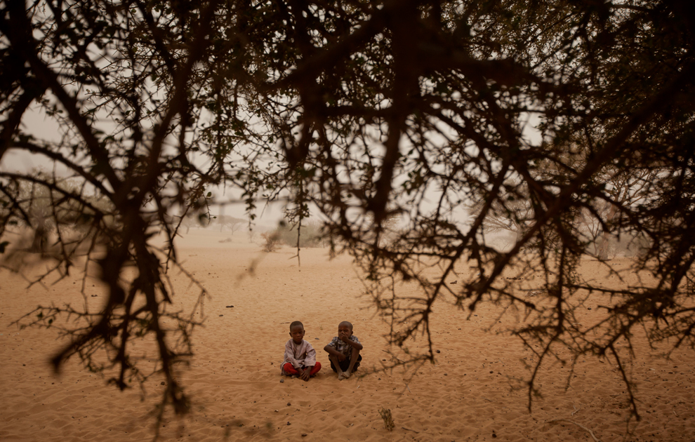 Фотография: Продовольственный кризис в природной зоне Сахель в Африке №31 - BigPicture.ru