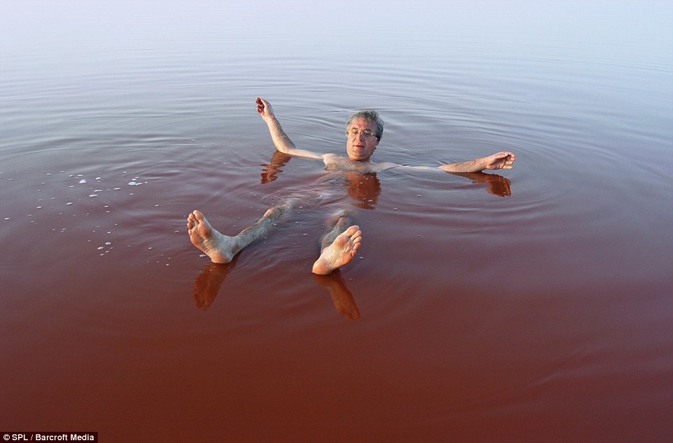 Фотография: Розовое озеро в Сенегале №6 - BigPicture.ru