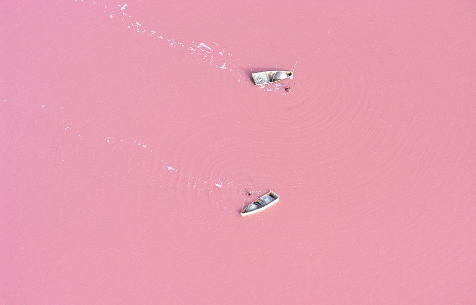 Фотография: Розовое озеро в Сенегале №2 - BigPicture.ru
