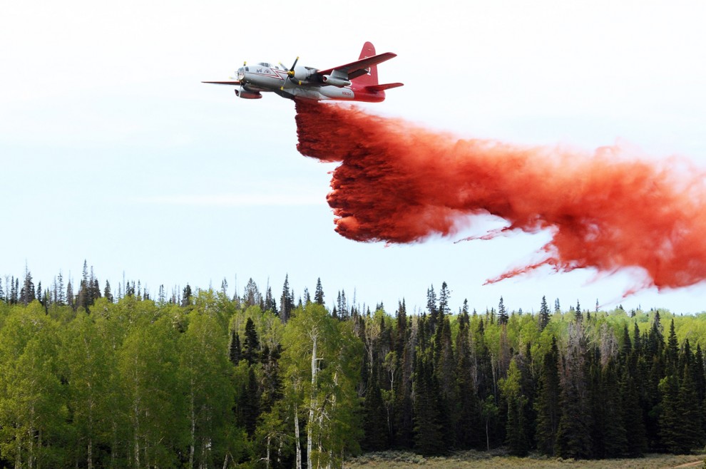 Фотография: Лесные пожары на западе США №12 - BigPicture.ru