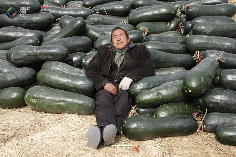 Фотография: Спящие красавицы и красавцы из Китая №13 - BigPicture.ru