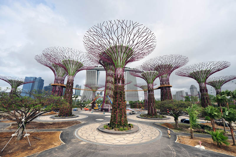 Фотография: Супер-деревья Сингапура №2 - BigPicture.ru