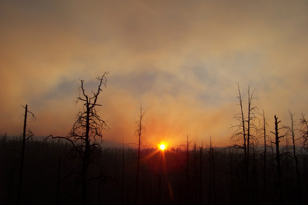 Фотография: Лесные пожары на западе США №16 - BigPicture.ru