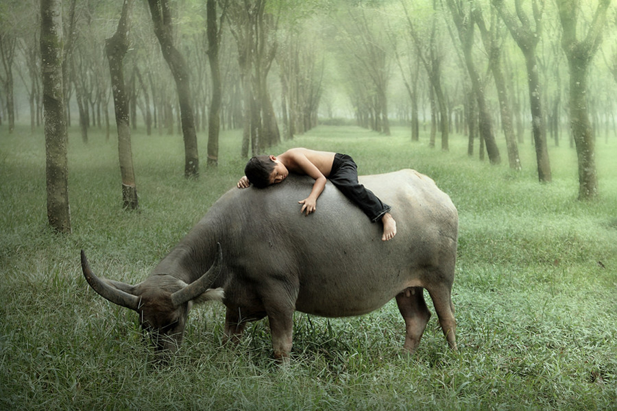 Фотография: Индонезийские истории фотографа Девана Иравана №2 - BigPicture.ru
