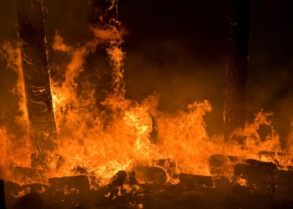 Фотография: Лесные пожары на западе США №18 - BigPicture.ru