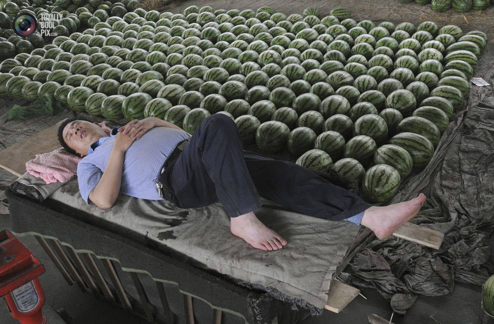 Фотография: Спящие красавицы и красавцы из Китая №26 - BigPicture.ru