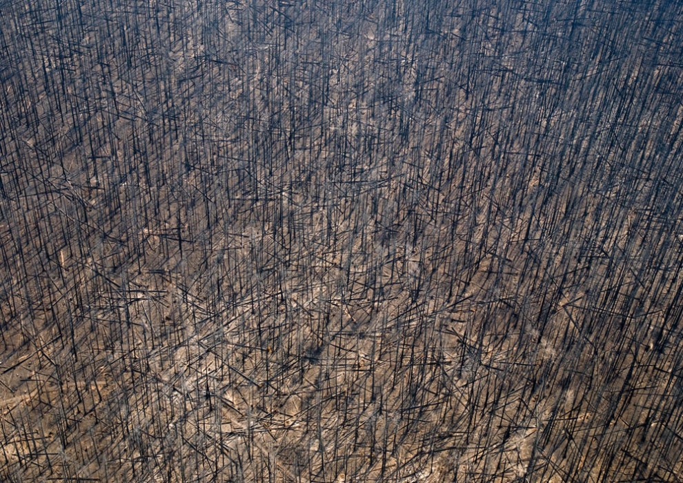 Фотография: Лесные пожары на западе США №29 - BigPicture.ru