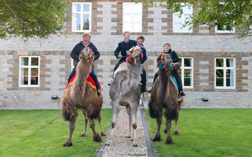 Фотография: Верблюды британской семьи Фоссетт №4 - BigPicture.ru