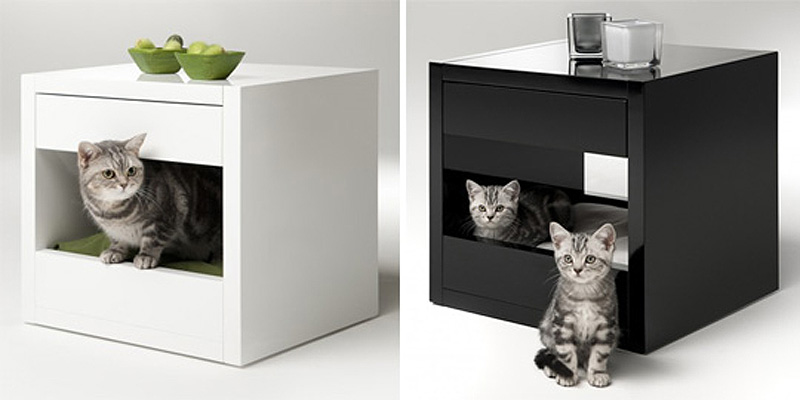 Фотография: Дизайн для котов №1 - BigPicture.ru