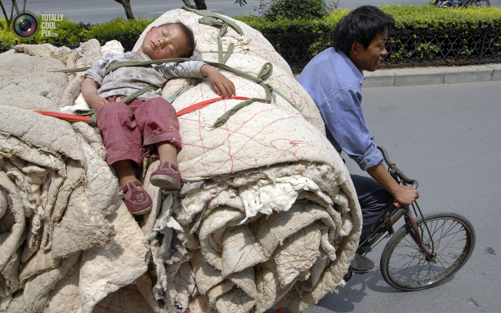 Фотография: Спящие красавицы и красавцы из Китая №8 - BigPicture.ru