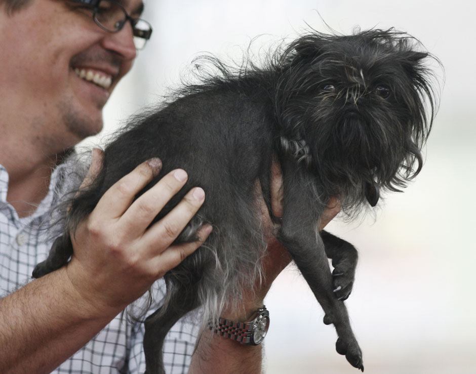 Фотография: Конкурс на самую уродливую собаку 2012 №9 - BigPicture.ru