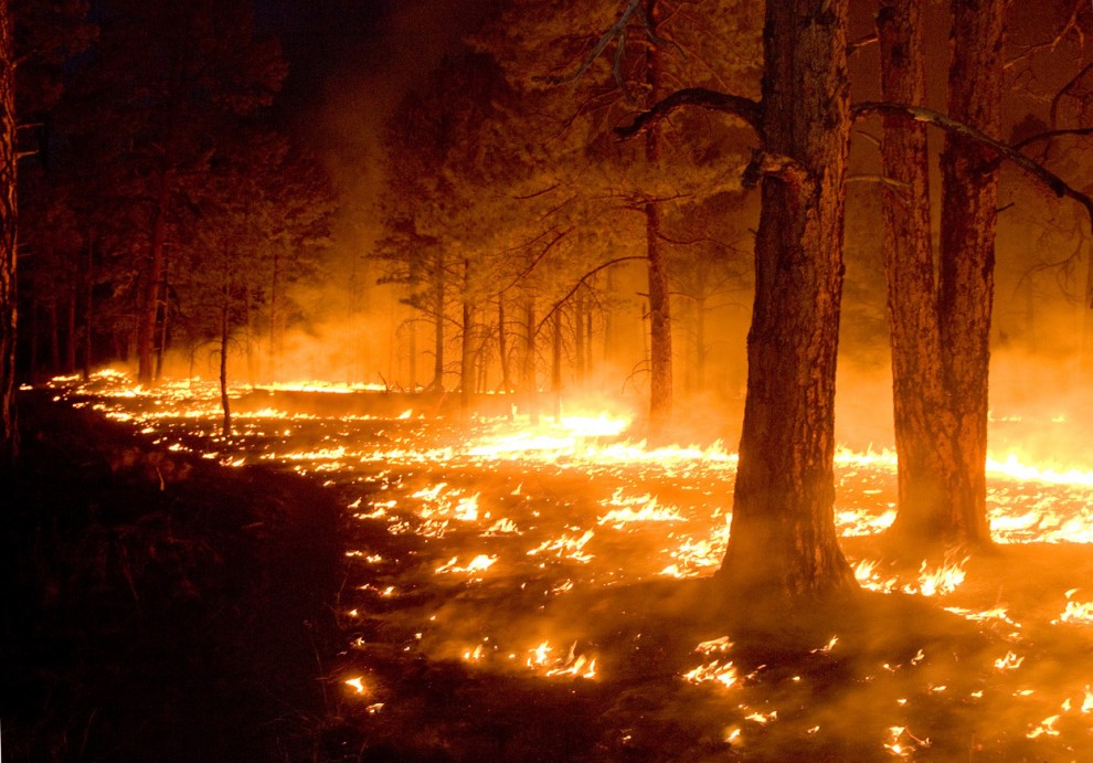Фотография: Лесные пожары на западе США №10 - BigPicture.ru