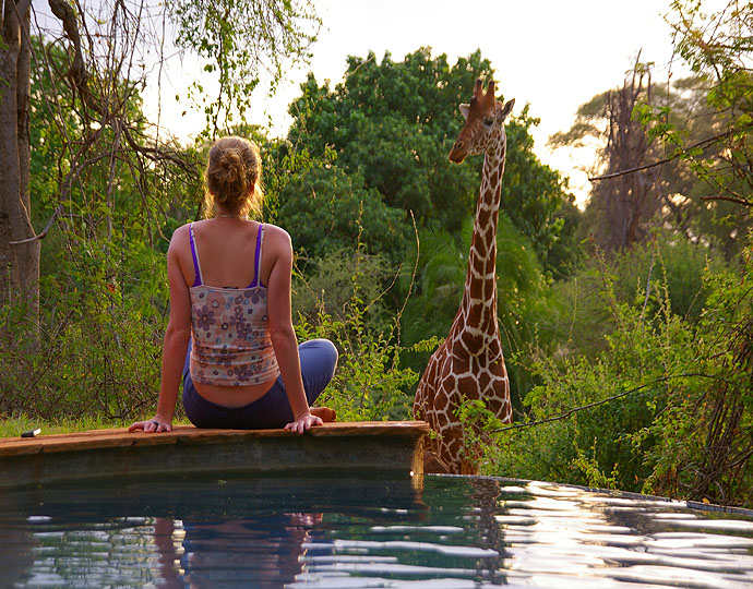 Уникальный отель Поместье жирафа Giraffe Manor