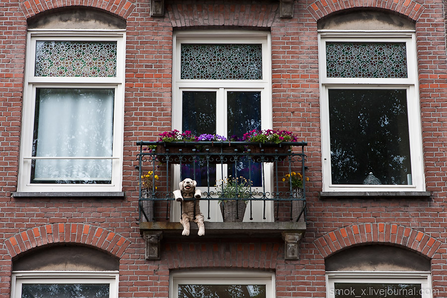 Фотография: Евротрип 2012: Амстердам №14 - BigPicture.ru