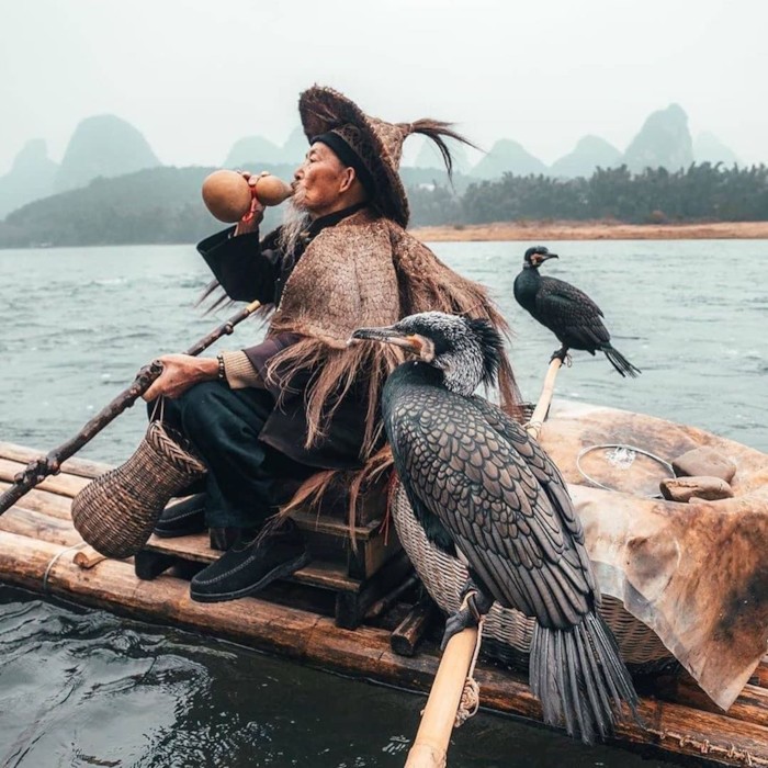 традиционная китайская рыбалка с бакланами
