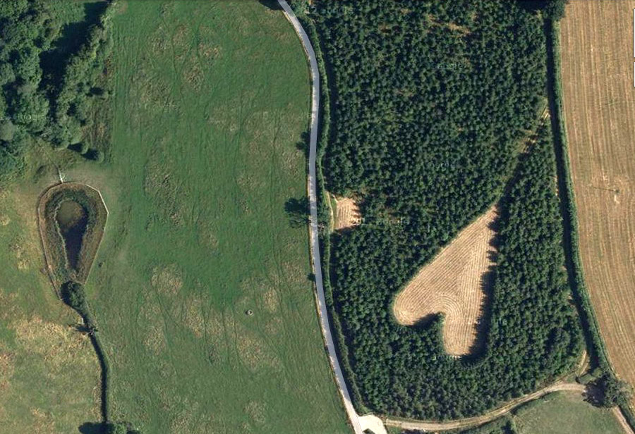 Фотография: Дубовый лес, высаженный в память о жене №3 - BigPicture.ru