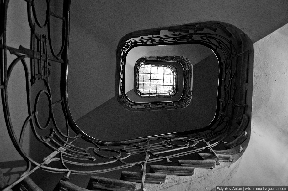 Фотография: Взгляд изнутри: парадные и лестницы Львова и Черновцов №23 - BigPicture.ru