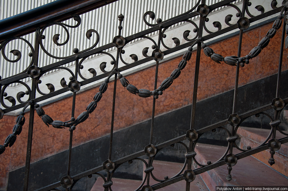 Фотография: Взгляд изнутри: парадные и лестницы Львова и Черновцов №31 - BigPicture.ru