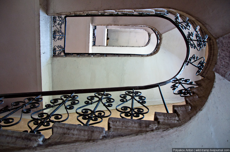 Фотография: Взгляд изнутри: парадные и лестницы Львова и Черновцов №6 - BigPicture.ru