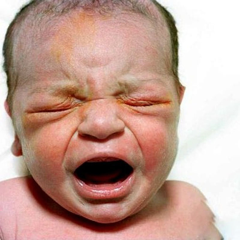 Фотография: Портреты новорожденных младенцев №11 - BigPicture.ru