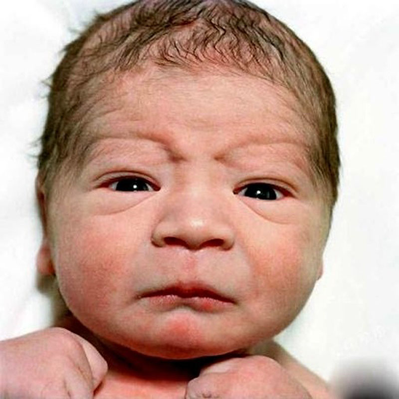 Фотография: Портреты новорожденных младенцев №12 - BigPicture.ru