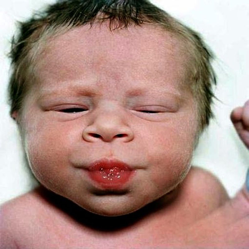 Фотография: Портреты новорожденных младенцев №15 - BigPicture.ru