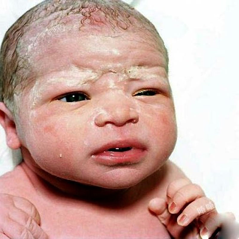 Фотография: Портреты новорожденных младенцев №18 - BigPicture.ru