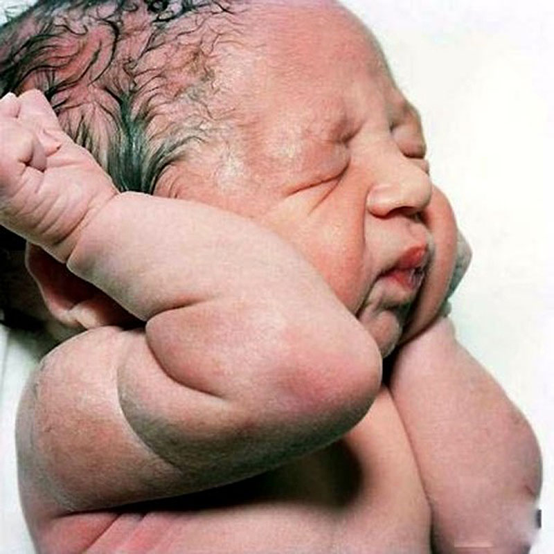 Фотография: Портреты новорожденных младенцев №3 - BigPicture.ru