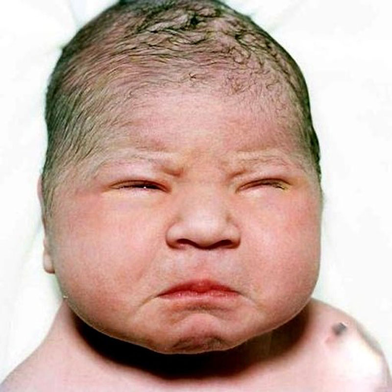 Фотография: Портреты новорожденных младенцев №24 - BigPicture.ru
