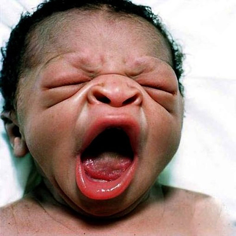 Фотография: Портреты новорожденных младенцев №25 - BigPicture.ru