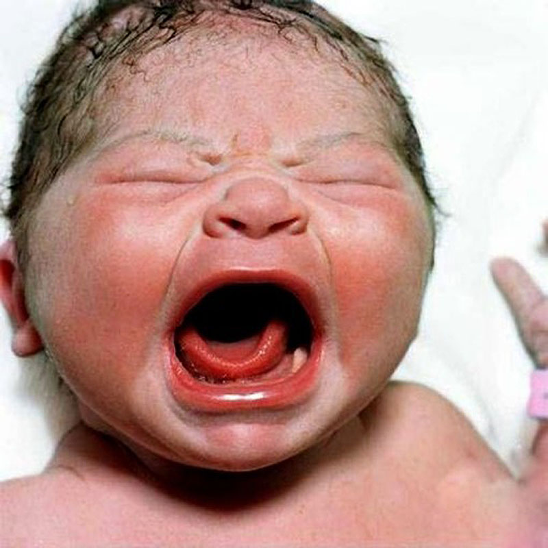 Фотография: Портреты новорожденных младенцев №5 - BigPicture.ru