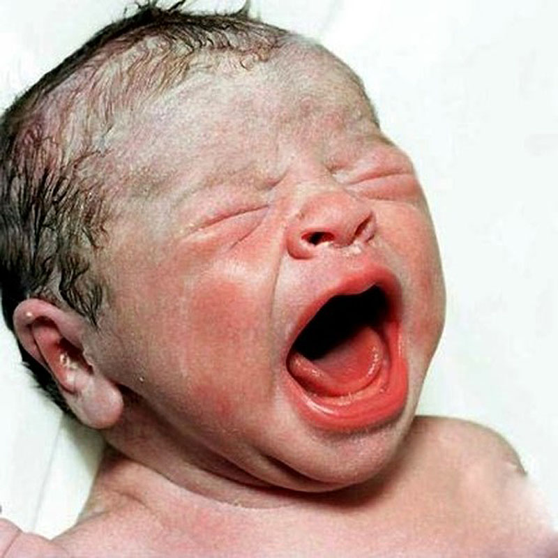 Фотография: Портреты новорожденных младенцев №10 - BigPicture.ru