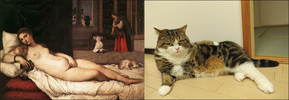 Фотография: Коты и искусство №12 - BigPicture.ru