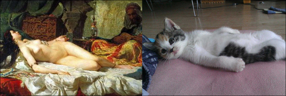 Фотография: Коты и искусство №18 - BigPicture.ru
